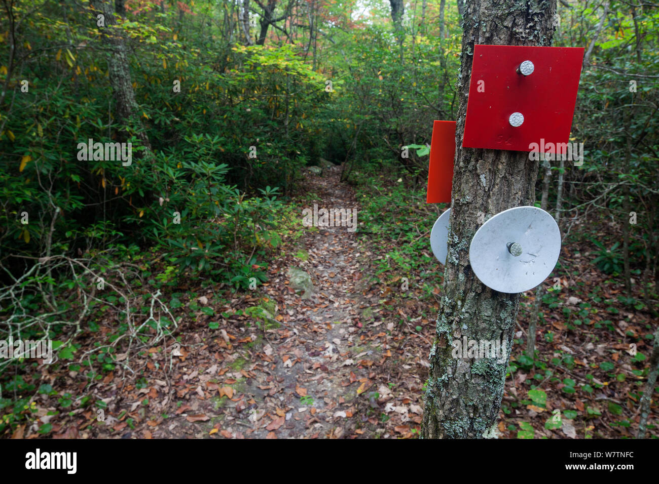 Trail zeichen Markierungen entlang der Indian Creek Trail Teil des Berges-zu-Sea Trail in Hanging Rock State Park. North Carolina, USA, Oktober 2013. Stockfoto