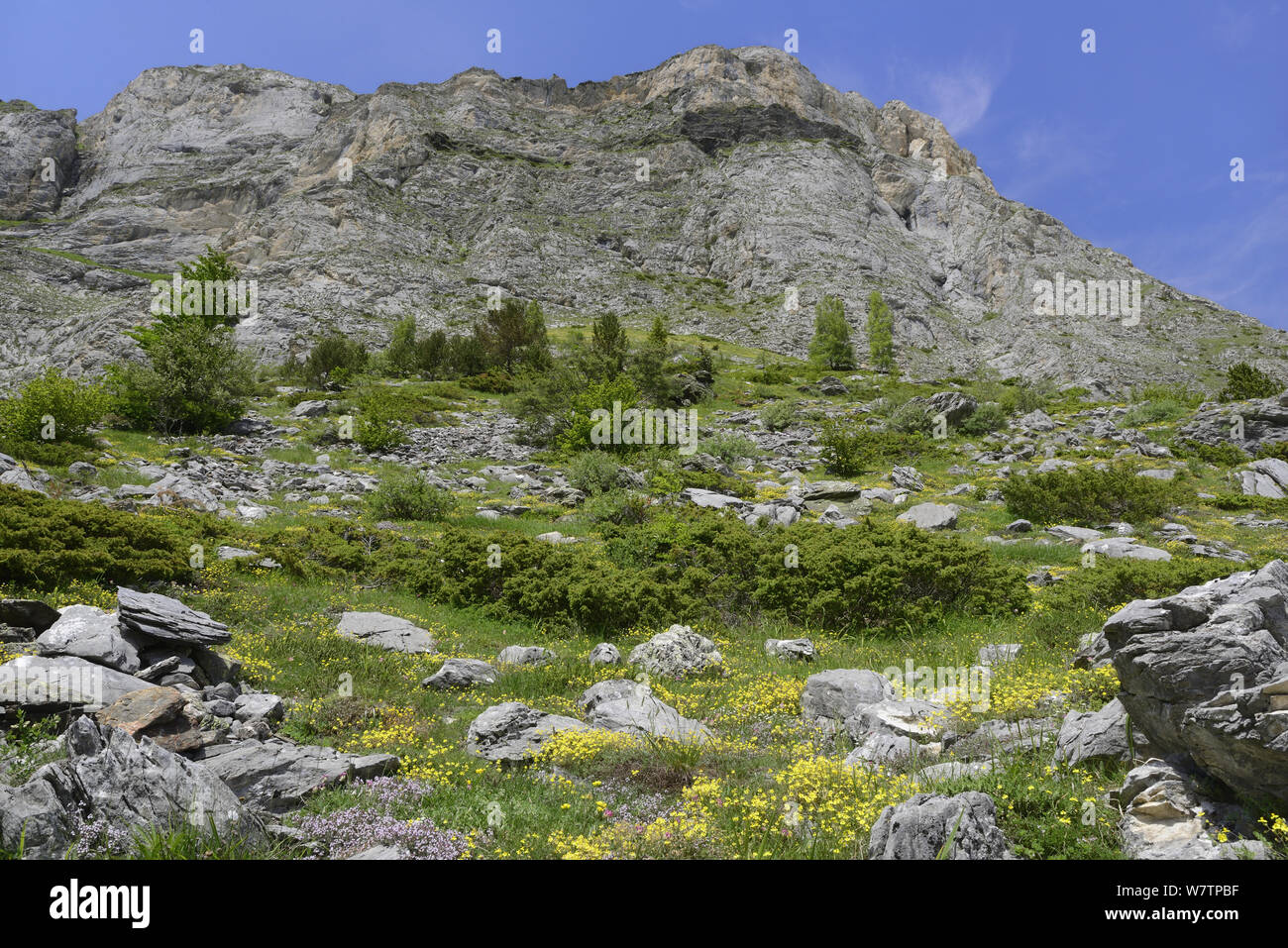 Felswand, Barrage d'Osseau Tal, Nationalpark der Pyrenäen, Frankreich, Juni 2013. Stockfoto