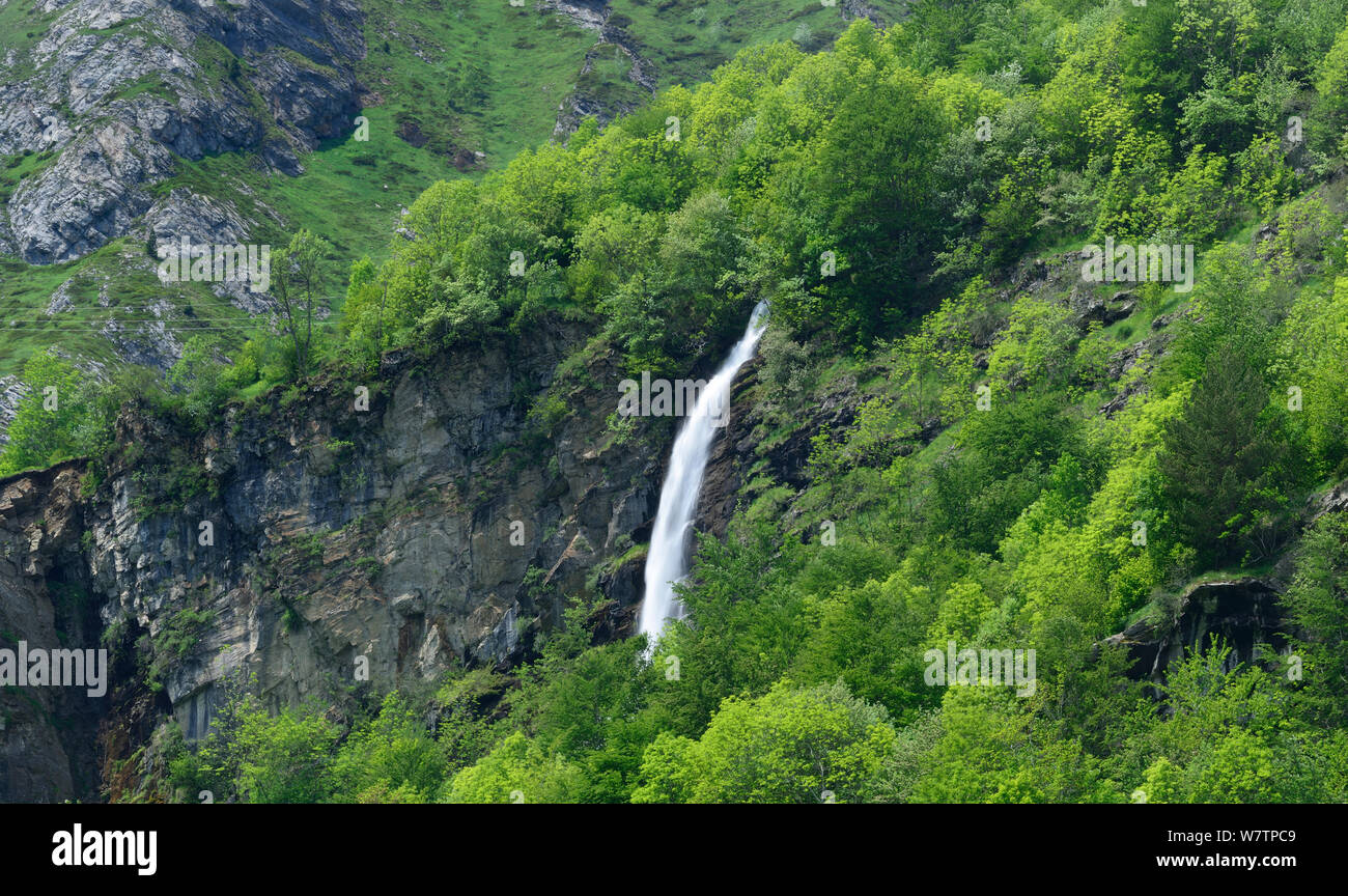 Wasserfall in der Nähe von Cedre, Nationalpark der Pyrenäen, Frankreich, Juni 2013. Stockfoto