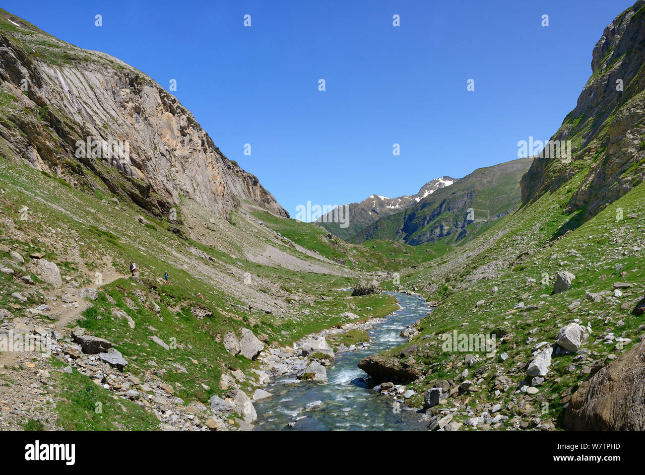 River d'Estaube in der Nähe von Lac de Gloriettes, Nationalpark der Pyrenäen, Hautes Pyrenees, France, Juni 2013. Stockfoto