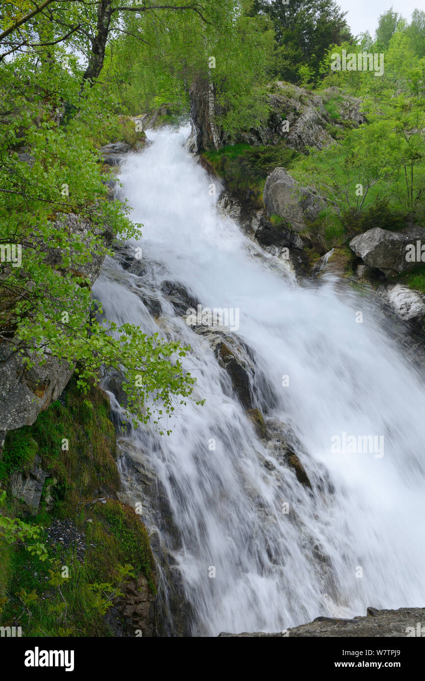 Kaskade, Fluss Holle, Gavarnie, Nationalpark der Pyrenäen, Frankreich, Juni 2013. Stockfoto