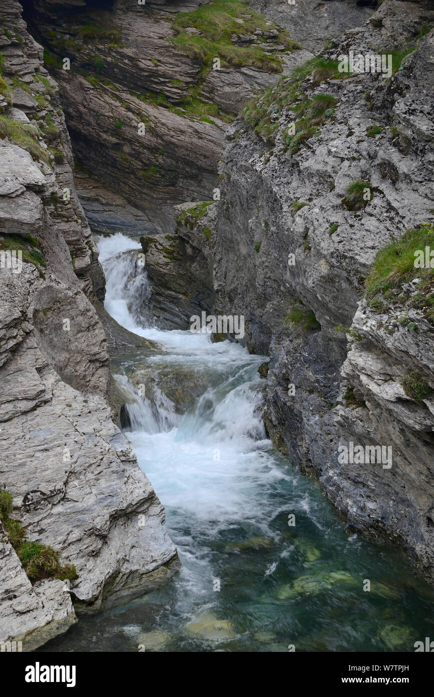 Fluss Holle fließt zwischen Felsen, in der Nähe von Gavarnie, Nationalpark der Pyrenäen, Frankreich, Juni 2013. Stockfoto