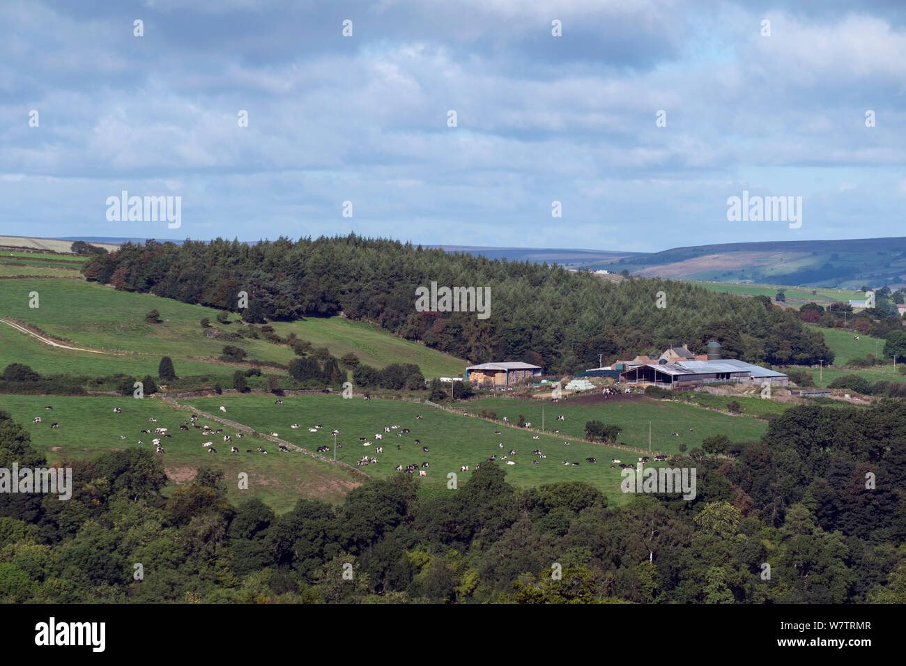 Ausblick auf die Landschaft mit landwirtschaftlichen Gebäuden, Weide Weide und Hochmoore in Distanz, North York Moors National Park, England, UK, September 2013. Stockfoto