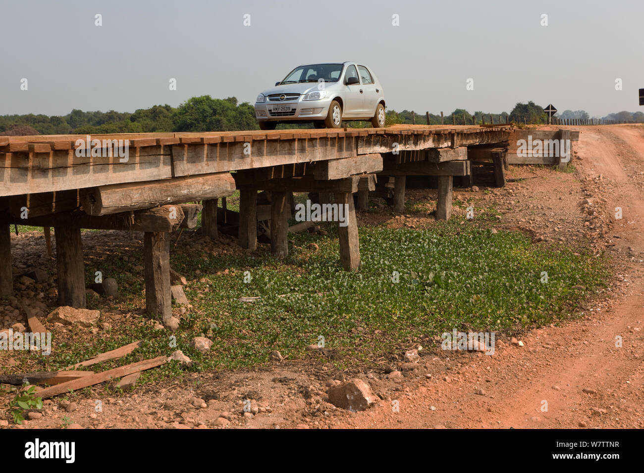 Hölzerne Brücken entlang der Transpantaneira Feldweg. Pantanal, Mato Grosso, Brasilien, September 2010. Stockfoto