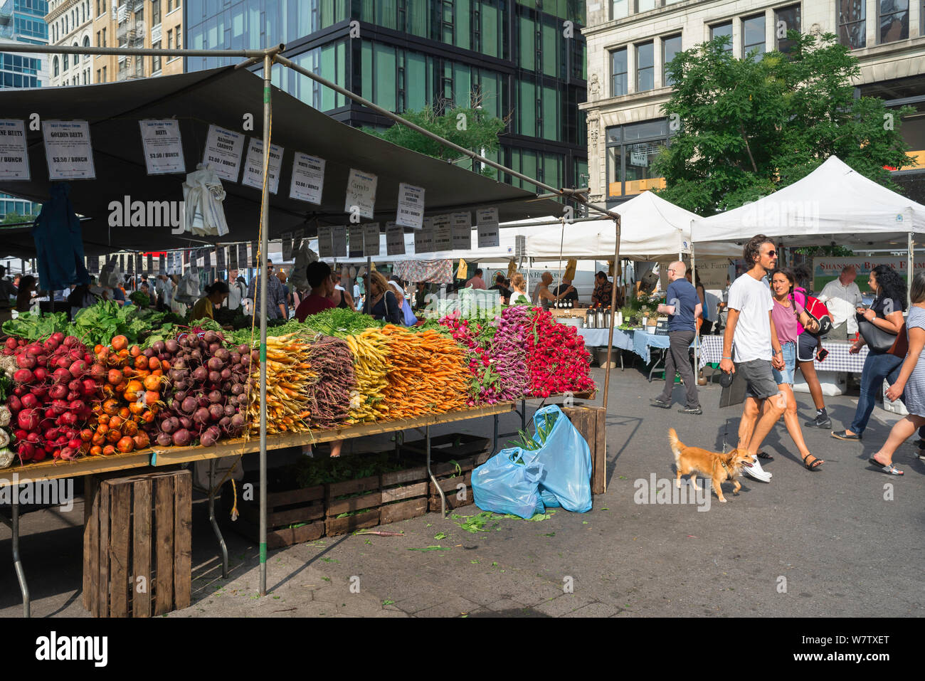 New York Markt, Aussicht im Sommer der regelmäßigen Bauernmarkt in Union Square, Manhattan, New York City, USA, statt. Stockfoto