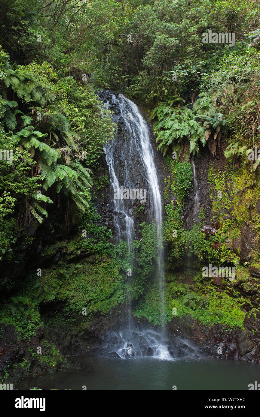 Cascade Sacree, Montagne d'Ambre NP, Madagaskar, Juni 2013. Stockfoto