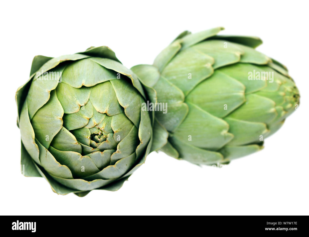 Zurück Blick auf zwei artischocke Isolieren auf Weiß Stockfoto
