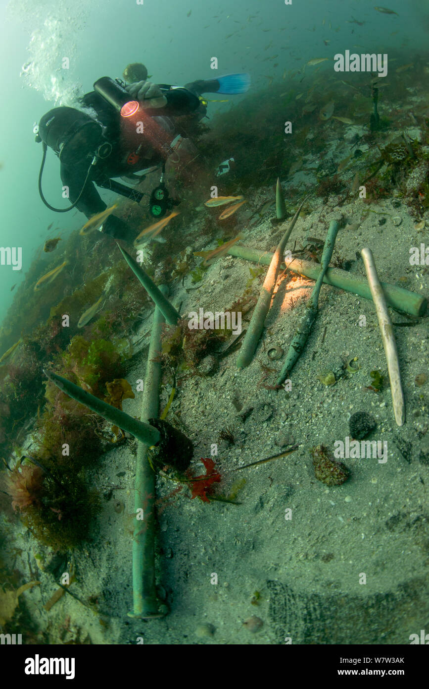 Kupfer Kiel Stifte aus dem Wrack eines britischen Erste Rate Kriegsschiff HMS Colossus ruinierte im Jahre 1758. St Mary's Straßen, Isles of Scilly, England, UK, August. Stockfoto