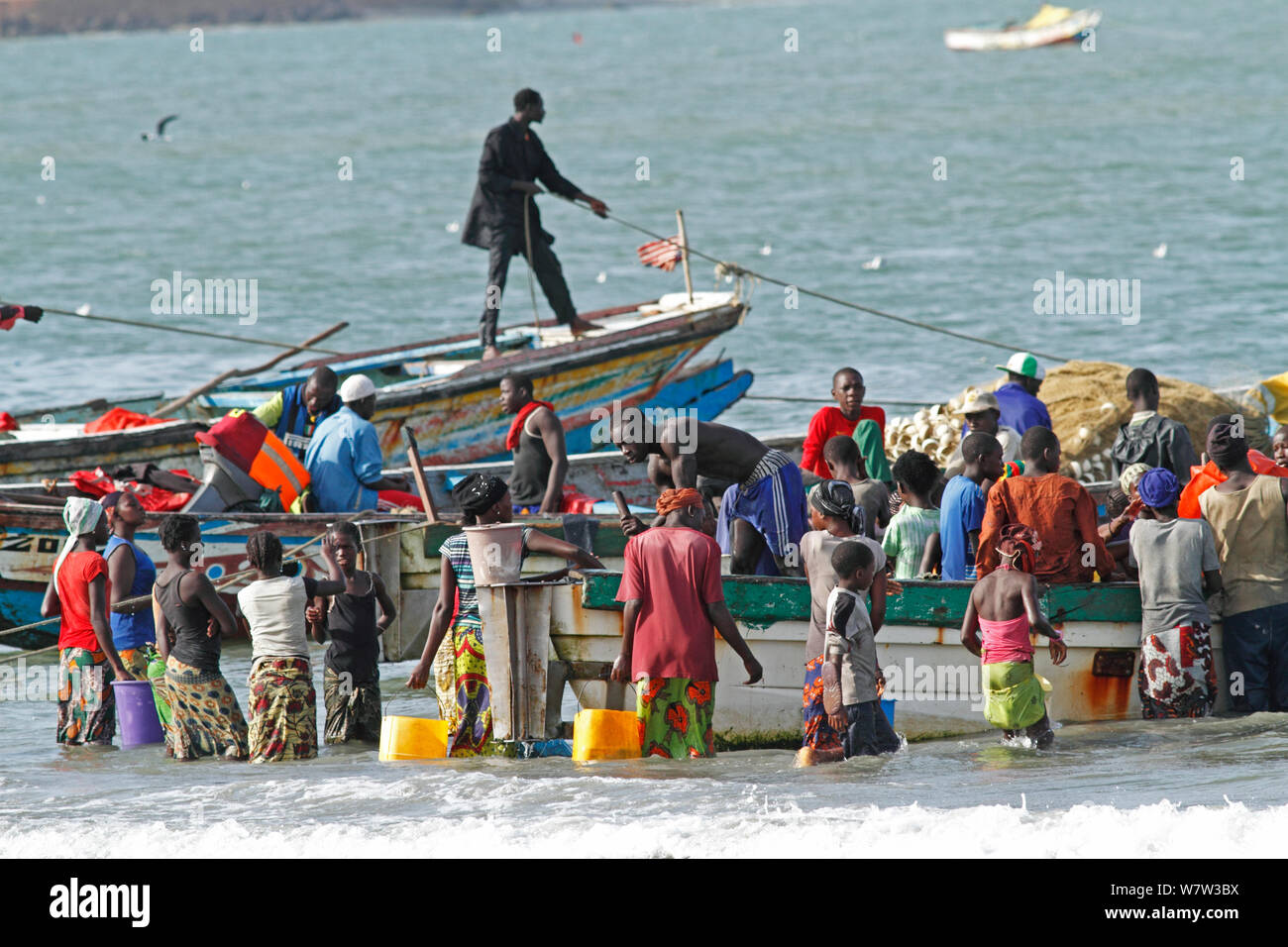 Gambische Frauen kaufen Fisch von den Fischern in bunten Boote am Strand, Gambia, Westafrika, November 2012. Stockfoto