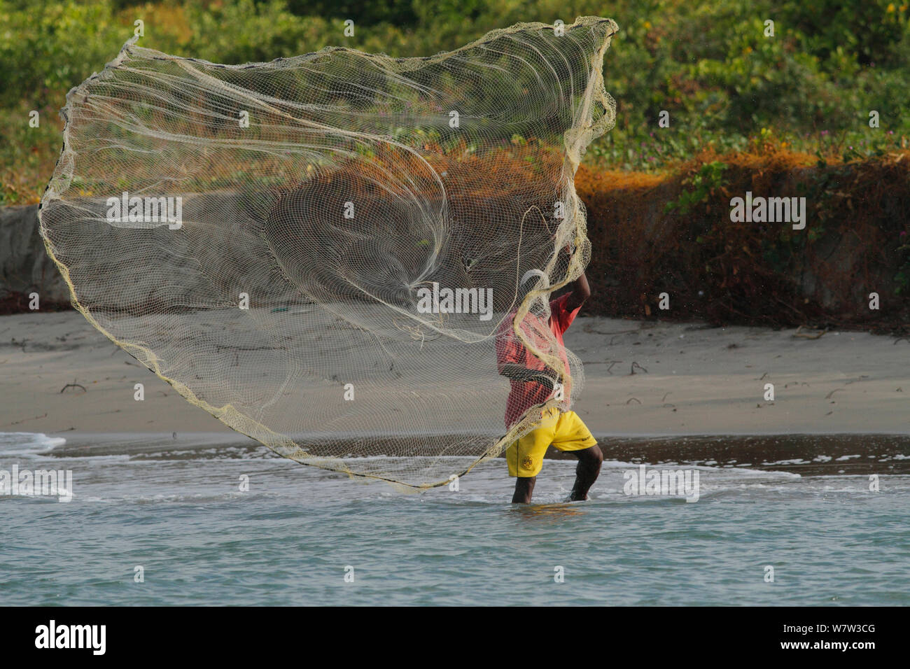 Mann heraus werfen Fischernetz, Gambia, Westafrika, November 2012. Stockfoto