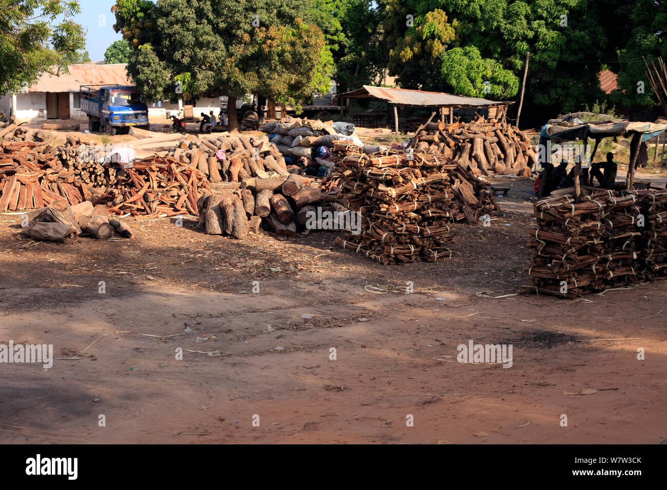 Brennholz, Gambia, Westafrika, November 2012. Stockfoto