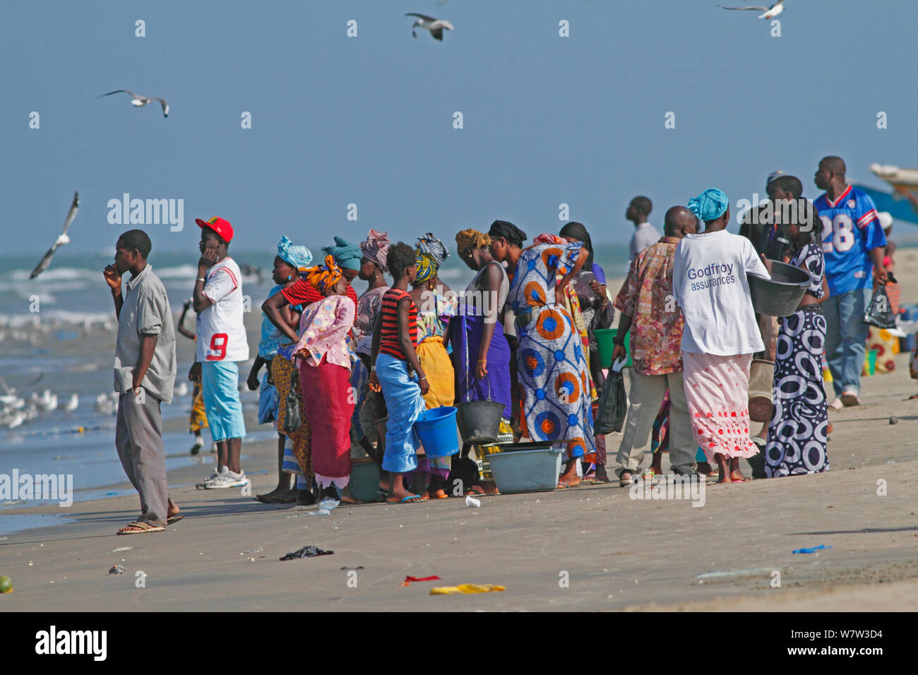 Frauen am Strand für Fischerboote, Tanji Strand, Gambia, Westafrika, November 2012 warten. Stockfoto