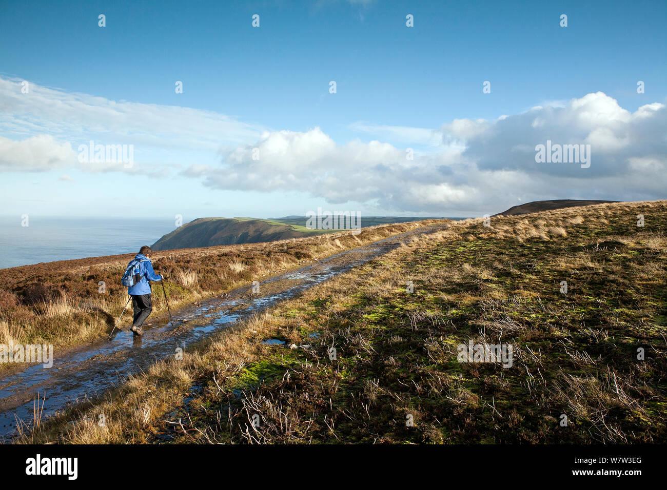 North Devon Coast Path mit Walker, Trentishoe unten nach Osten von Combe Martin, Devon, UK, Januar 2014. Stockfoto