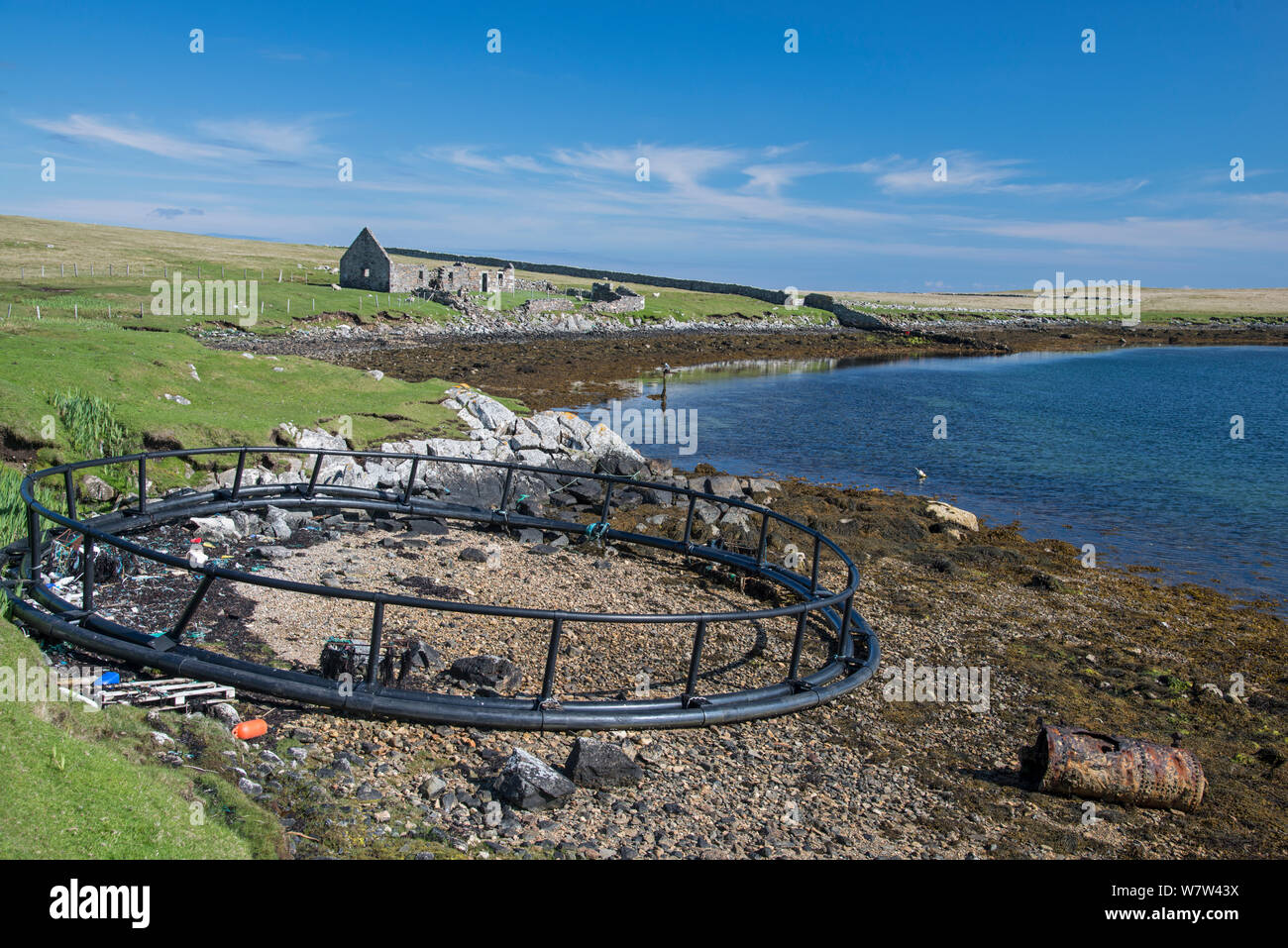 Verworfen Lachszucht Gehäuse gewaschen bis auf entfernten Strand. Burravoe, Shetlandinseln, Schottland, UK, Mai. Stockfoto