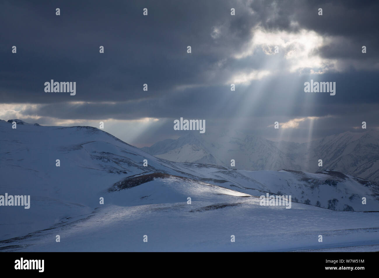 Sonnenlicht durch Wolken auf Schnee, Kavkazsky Zapovednik, West Kaukasus, Russland, Adygea, Februar. Stockfoto