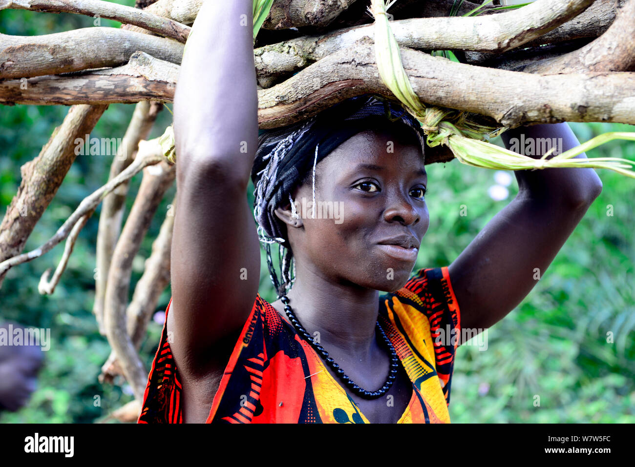 Frau, die Feuer Holz in das Dorf Abu, Canogo Insel, Guinea-Bissau, Dezember 2013. Stockfoto