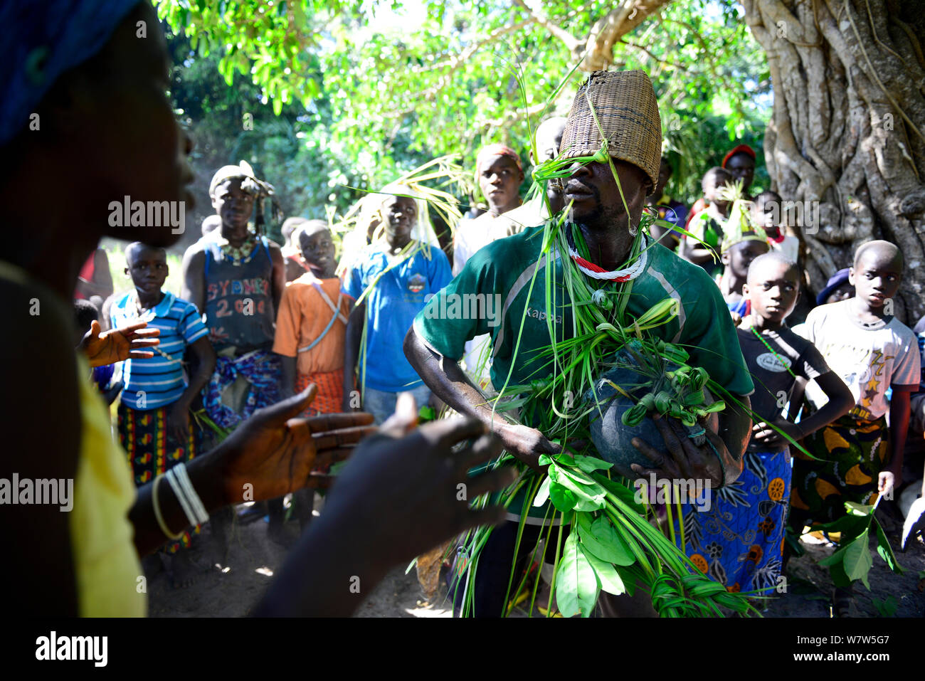 Musik und Tanz, mit dem Menschen in traditionellen Kleidern aus Palmblättern, bei einer Hochzeit im Dorf Ambeduco. Orango Insel, Guinea-Bissau, Dezember 2013. Stockfoto