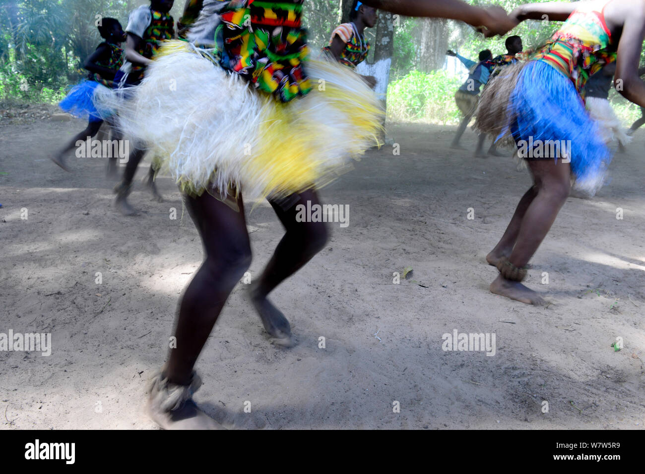 Mädchen tanzen in einem traditionellen Susso Tanz. Catesse Dorf, cantanhez Nationalpark, Guinea-Bissau, Dezember 2013. Stockfoto