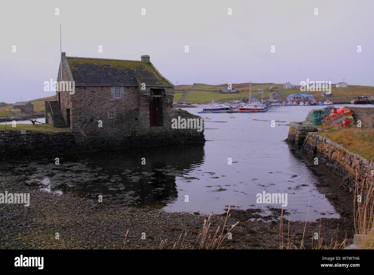 Symbister Hafen, Whalsay, Shetland Inseln, November 2013. Stockfoto