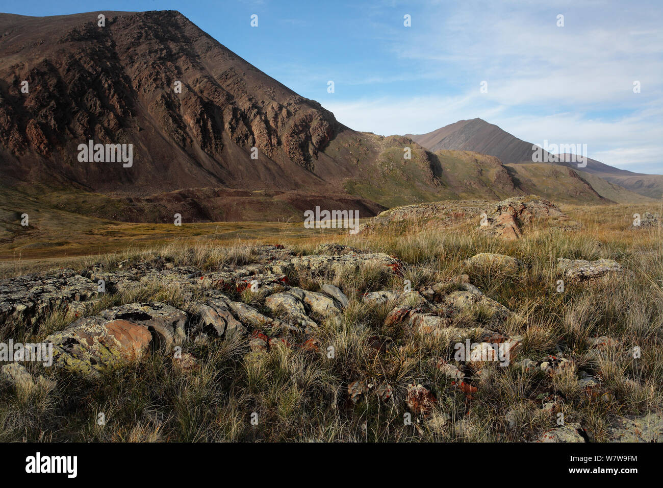 Landschaft im Süden Osten Altai Gebirge, Chikhacheva, Südsibirien, Russland. An der Grenze zur Mongolei. August 2012 Stockfoto