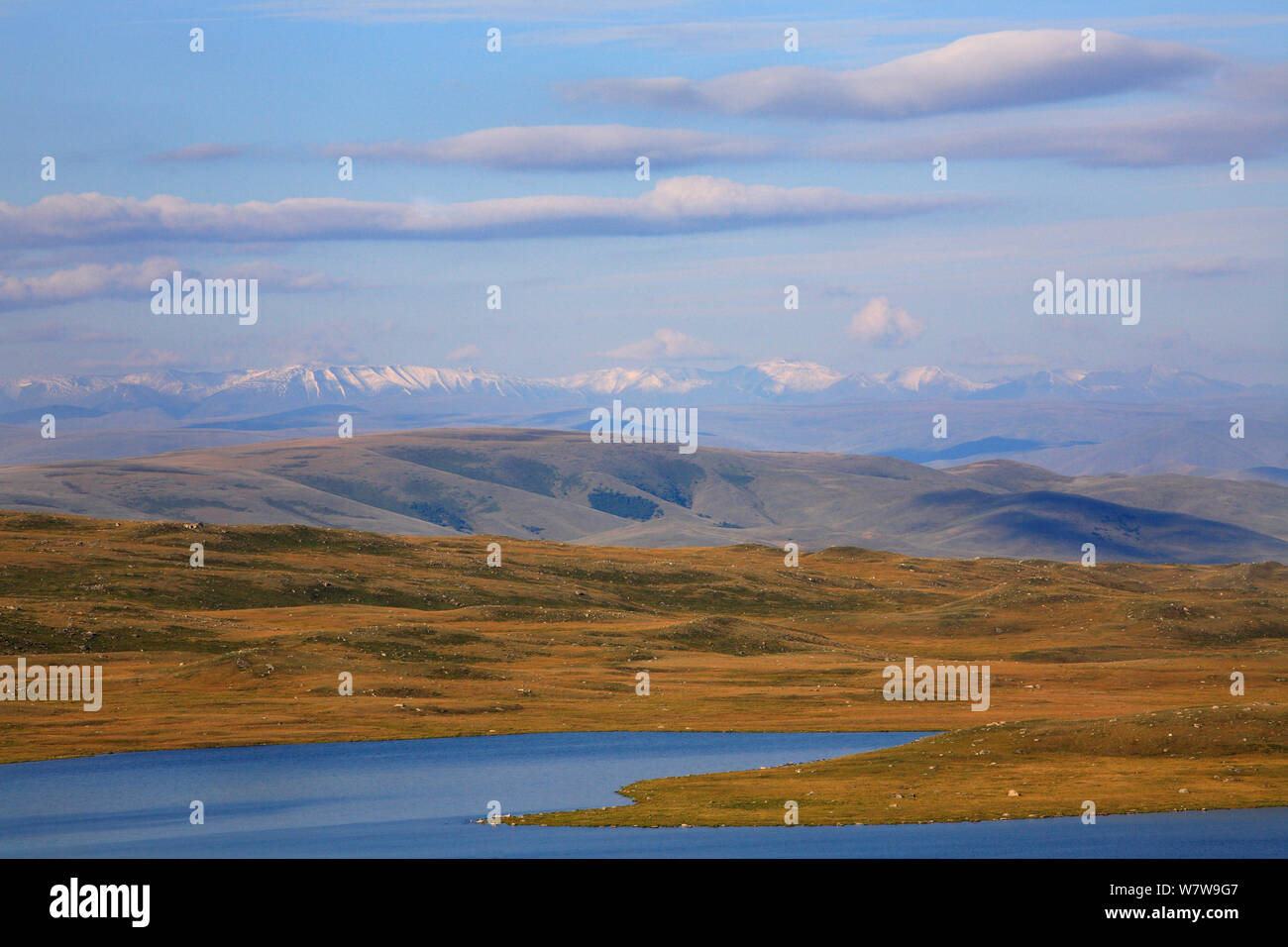 See Kindyktikul bei extremen süd-östlich von Altai Gebirge in Russland (in der Nähe der Grenze zur Mongolei) Mount Chuysky Boguty, Palette, Sibirien, Russland. August 2012 Stockfoto