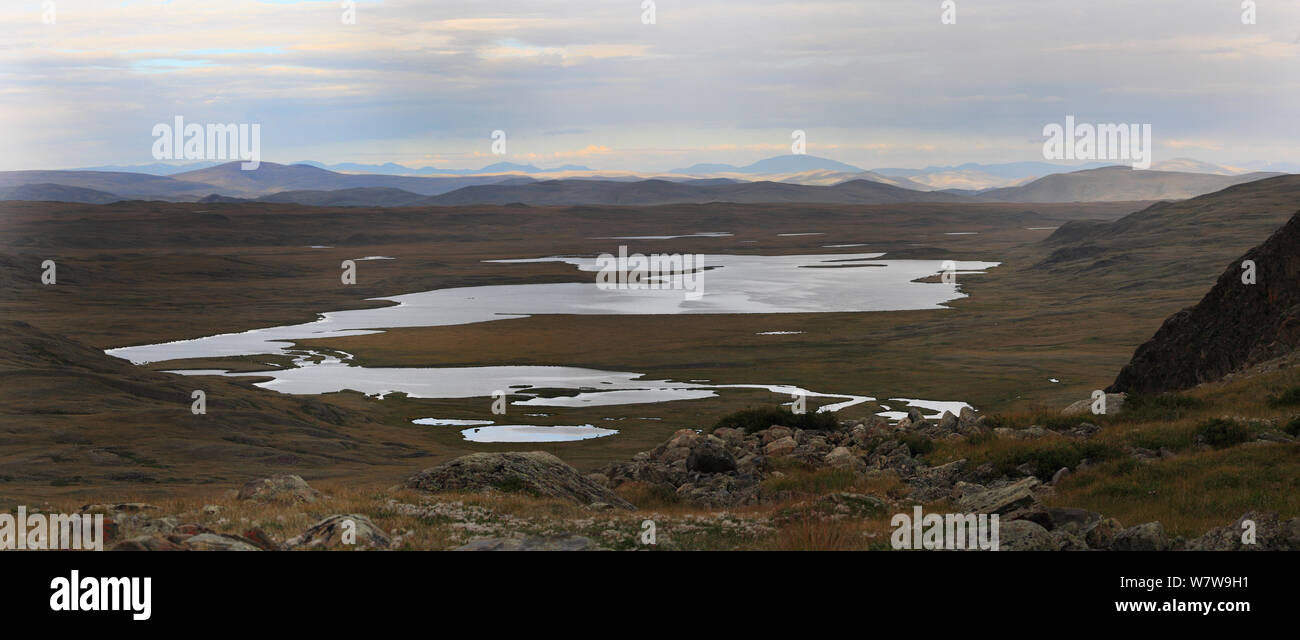 Blick auf See und Fluss Boguty in Süd-Ost Altai Gebirge, Chikhacheva Bereich. An der Grenze zur Mongolei. Sibirien, Russland. August 2012 Stockfoto