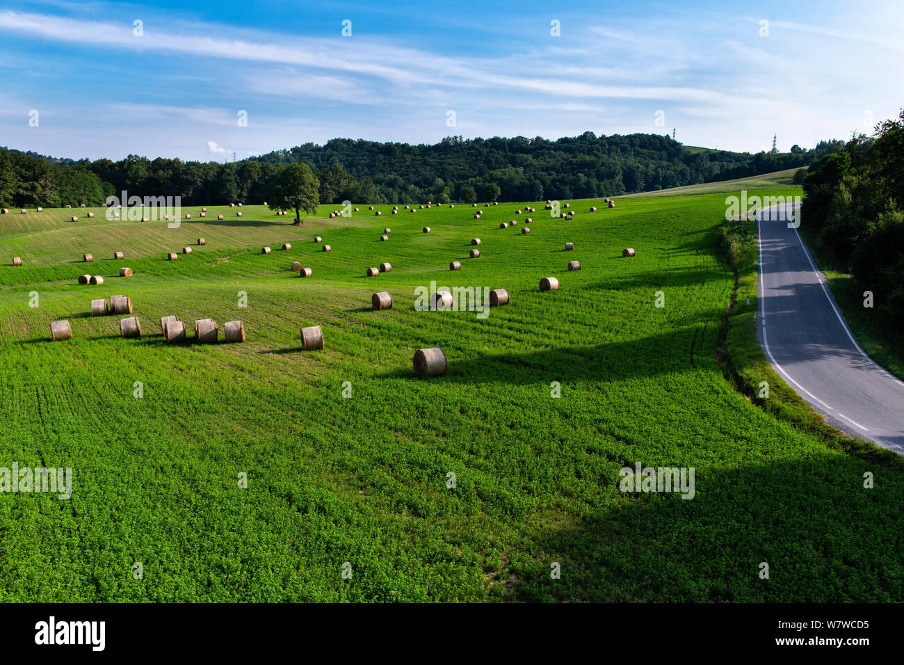 Piemont Italien, Heuballen auf einem grünen Feld mit einem Baum in der Mitte, auf der Unterseite gibt es einen Wald, auf der rechten Seite eine asphaltierte Straße, der Himmel Ich Stockfoto