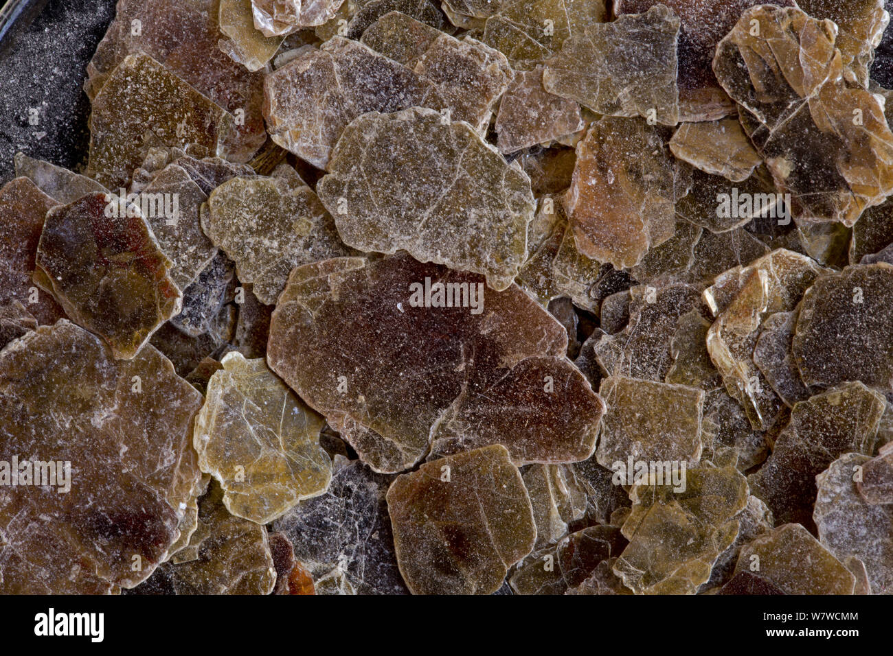 Vermiculit Flocken, ein wasserhaltiges, Silikat mineral als Filosilicatos eingestuft, es erheblich erweitert, wenn sie erhitzt werden. Stockfoto