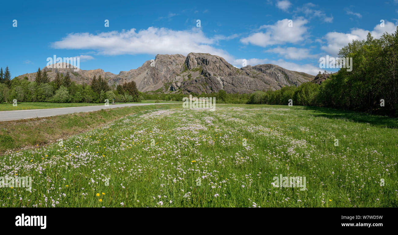 Leka Insel Landschaft, Norwegen. Stockfoto