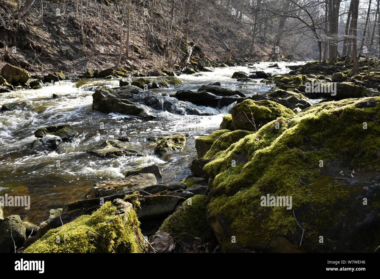 Morgen Sonnenlicht highlights Mord Creek in Akron Falls Park Stockfoto