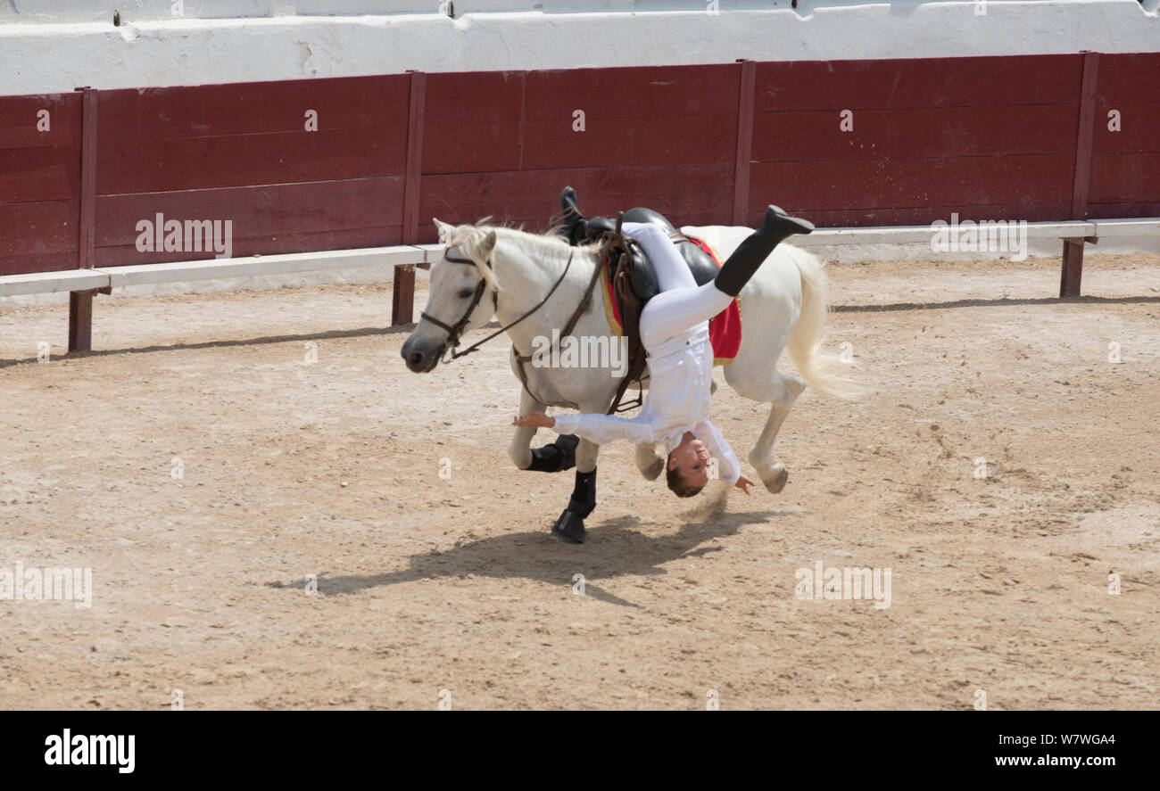 Junge Frau, die an Equestrian vaulting Ausstellung - hingen Sattel der Camargue Pferde, Mejanes Horse Fair-Feria Cheval Mejanes, einem 1000 Jahre alten Pferd zeigen, Mejanes, Camargue, Frankreich, Juli 2013 Stockfoto Junge Frau, die an Equestrian vaulting Ausstellung - hingen Sattel der Camargue Pferde, Mejanes Horse Fair-Feria Cheval Mejanes, einem 1000 Jahre alten Pferd zeigen, Mejanes, Camargue, Frankreich, Juli 2013 Stockfoto