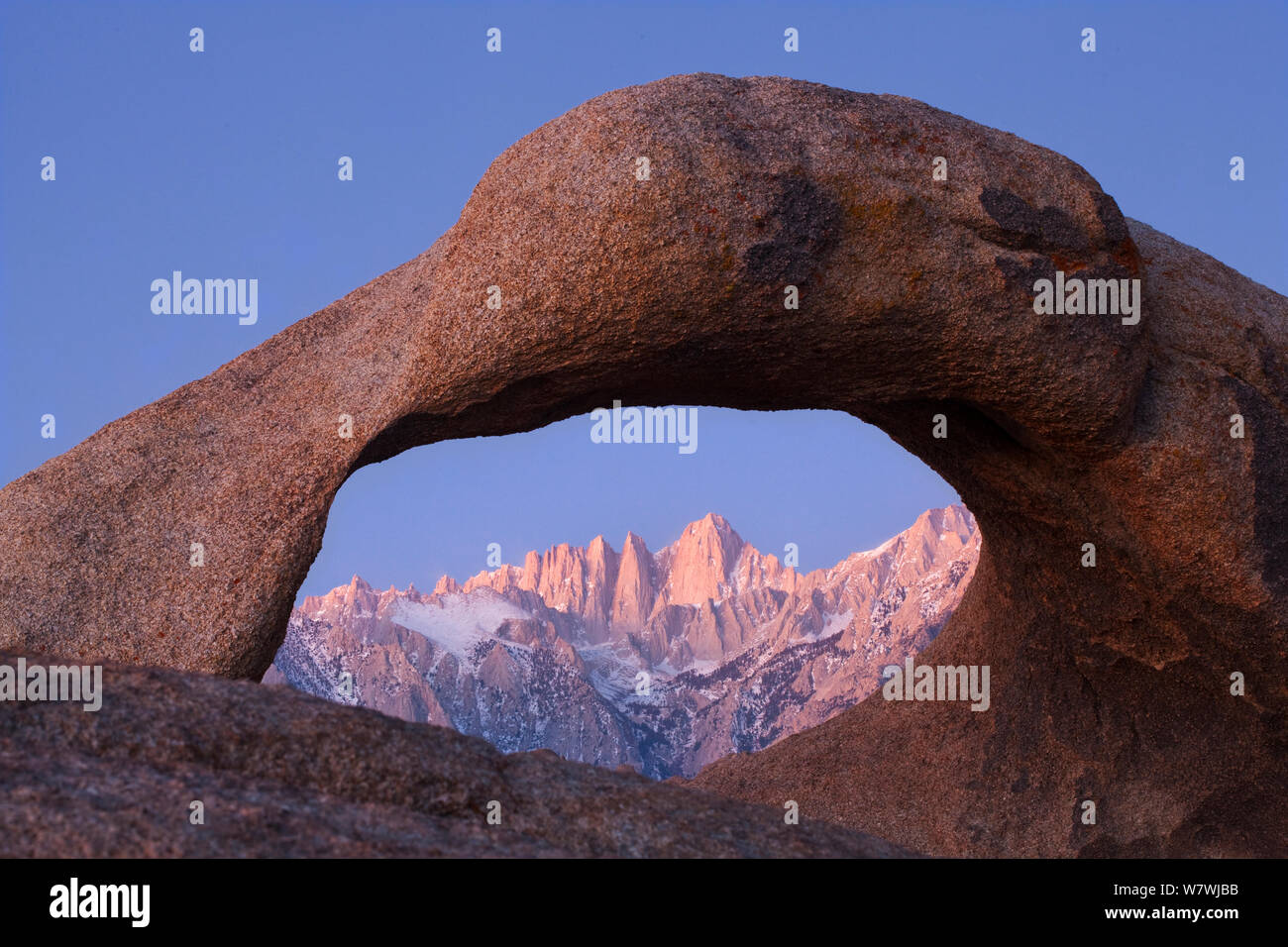 Mount Whitney, bei Sonnenaufgang durch Mobius Arch in den Alabama Hills von der östlichen Sierra, Owens Valley, Kalifornien, USA gesehen. Dezember 2009. Stockfoto