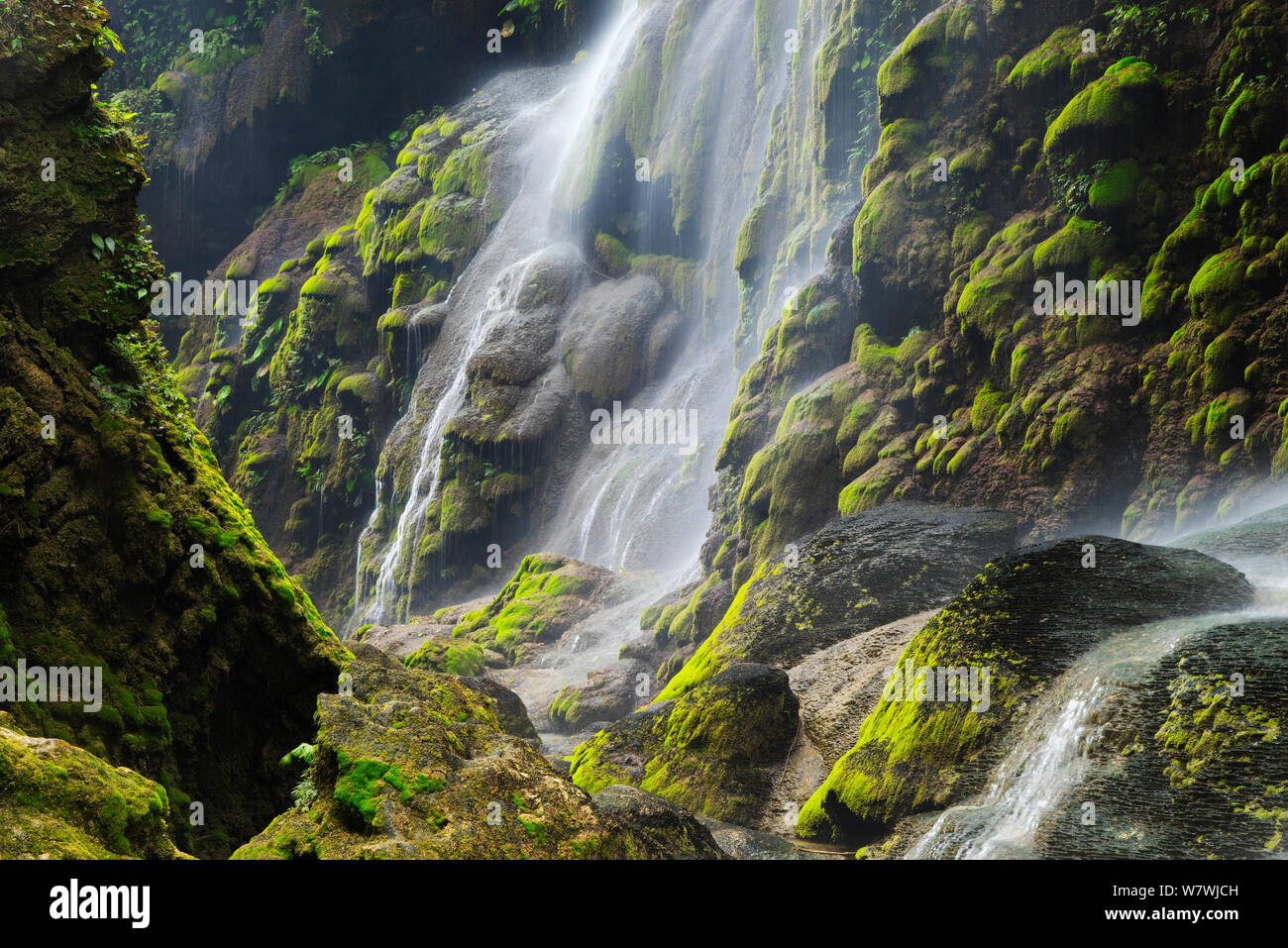Antibiótico Wasserfälle/Cascadas de Antibiótico im Canyon Rio La Venta in Selva el Ocote von Chiapas, Mexiko. März 2014. Stockfoto
