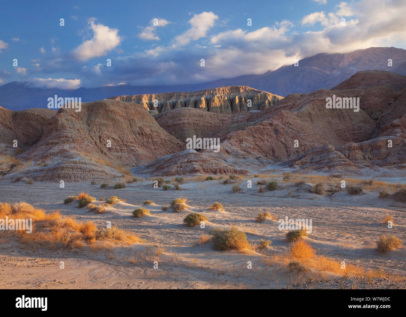 Landschaft der Wüste in den Anza Borrego State Park, Kalifornien, USA. April 2009. Stockfoto