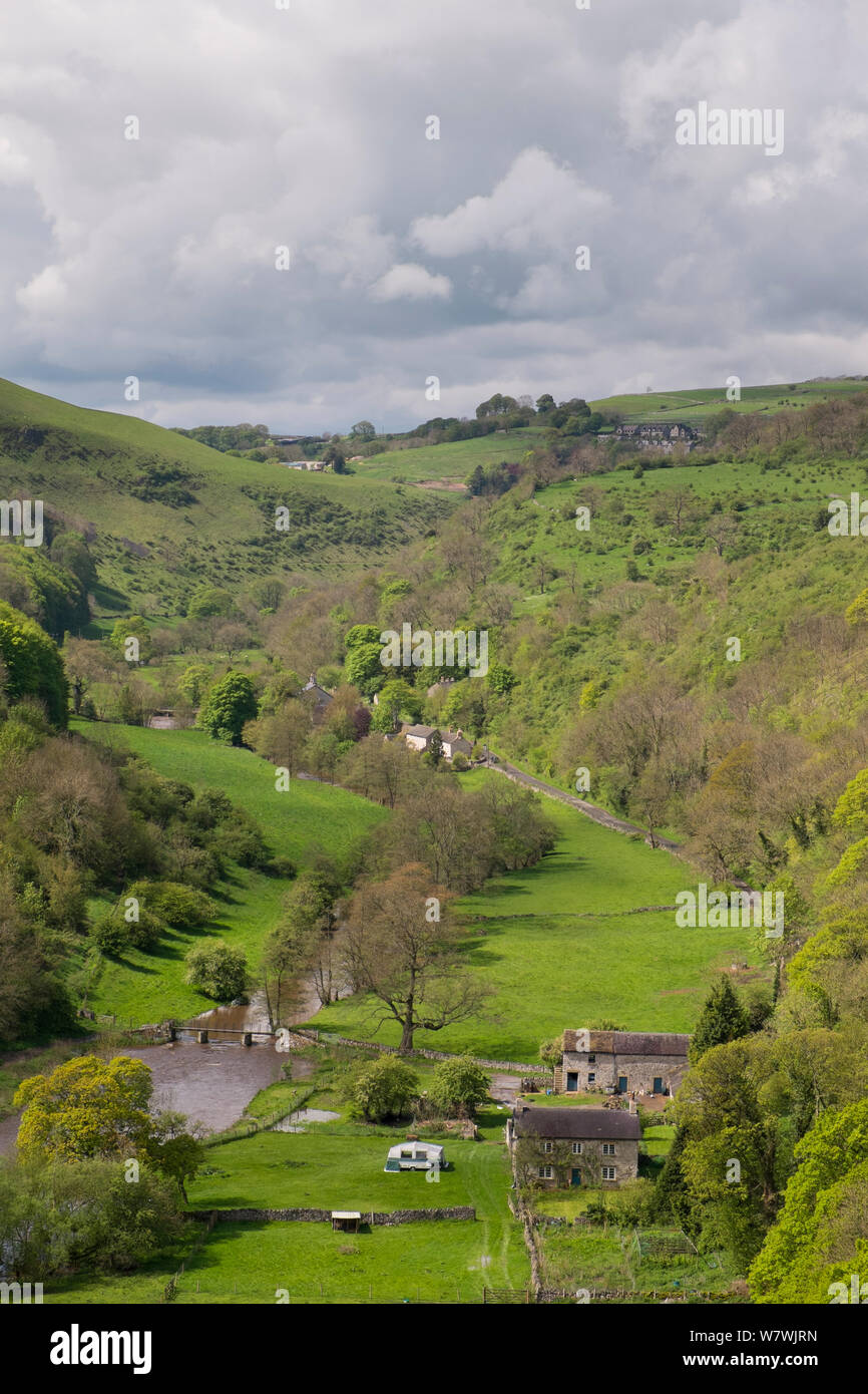 Blick auf den Fluss Wye in der monsal Tal, Mai 2014, Nationalpark Peak District, Derbyshire, England. Stockfoto