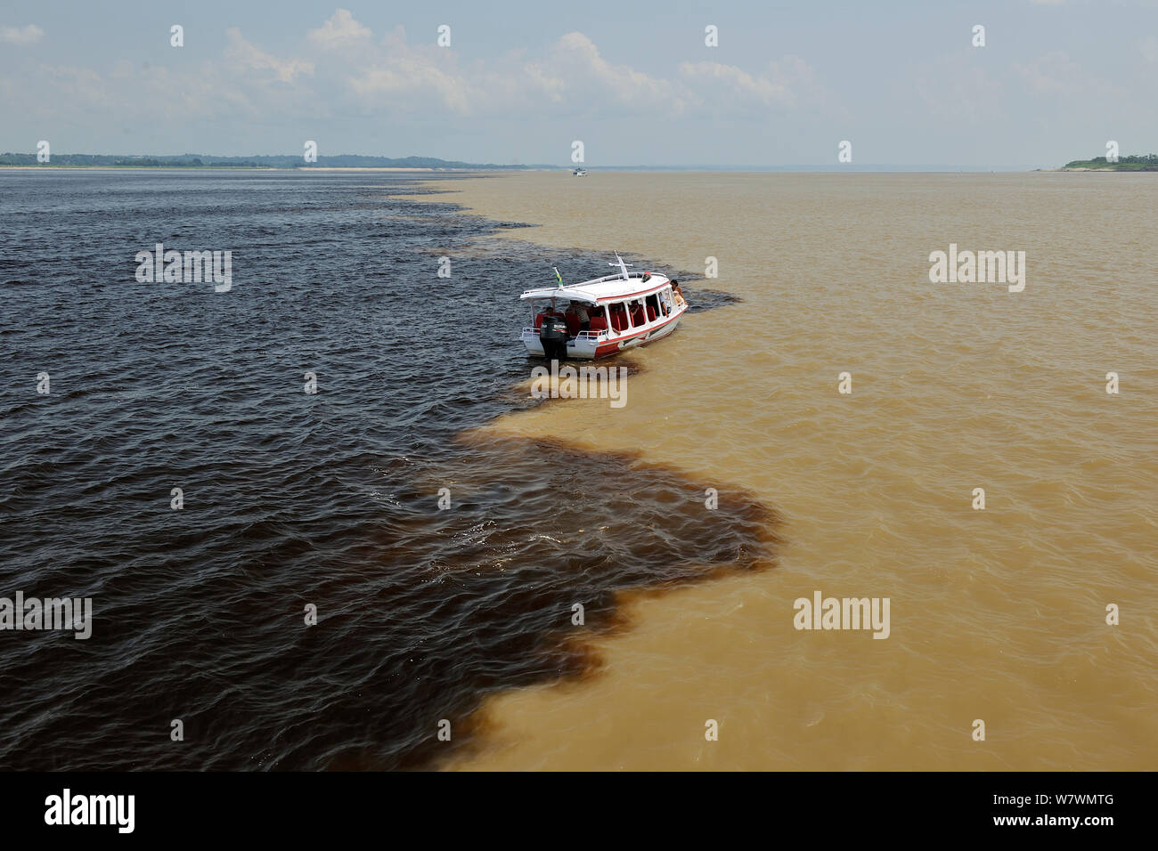 Boot Treffen der Wasser des Rio Negro und Solimoes Fluss und bildet die  Amazon River, 18 km östlich von Manaus, Amazonas, Brasilien Stockfotografie  - Alamy