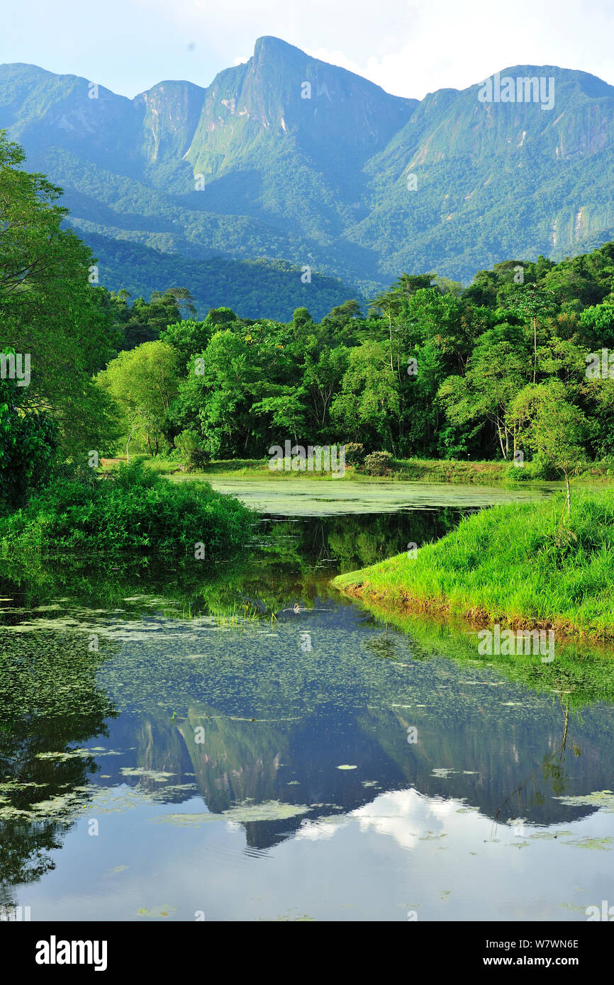 Landschaft der Feuchtgebiete von REGUA - Reserva Ecologica Guapiacu und des Atlantischen Regenwaldes in Cachoeiras de Macacu, Rio de Janeiro, Südosten von Brasilien. Stockfoto