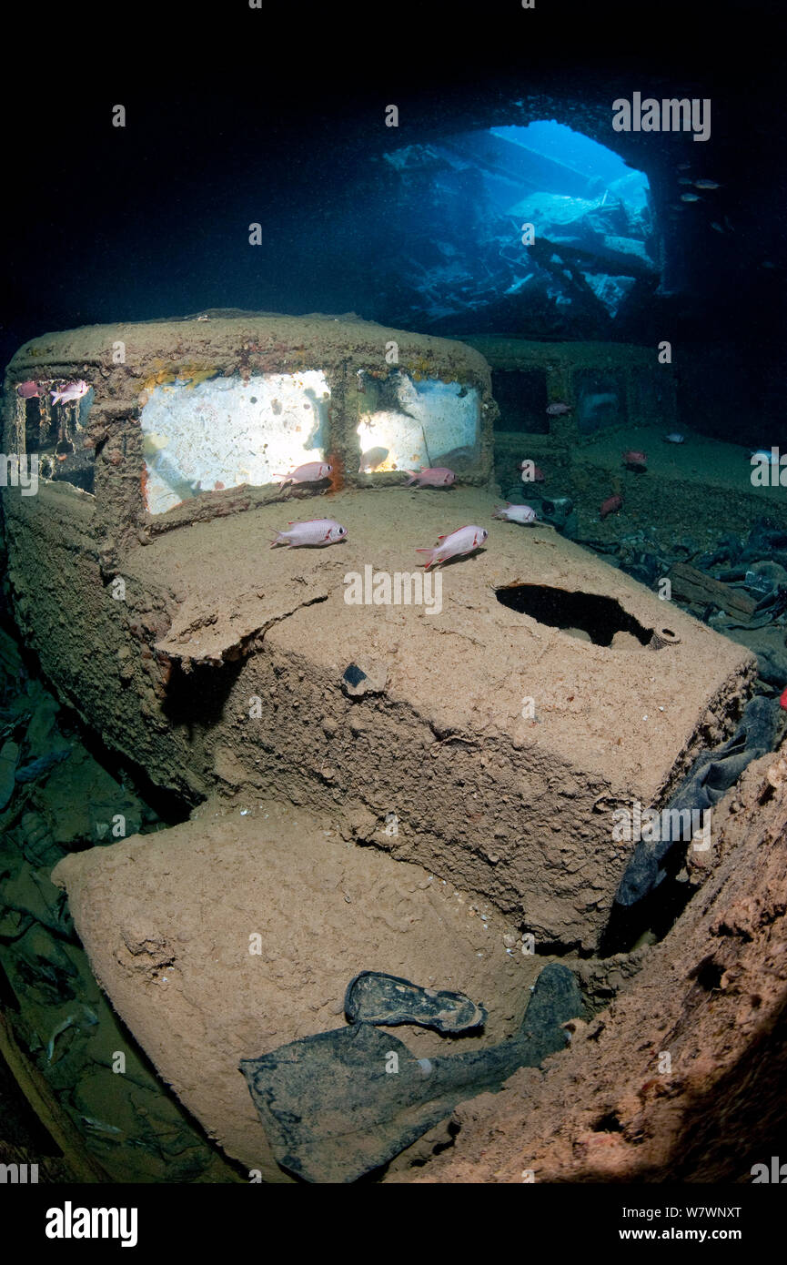 Paar britische Weltkrieg II Ford WOT 3 Lastwagen im Halten der Thistlegorm, mit Roten Meer soldierfish (Myripristis murdjan) Sha &#39; ab Ali, Sinai, Ägypten. Das rote Meer. Stockfoto