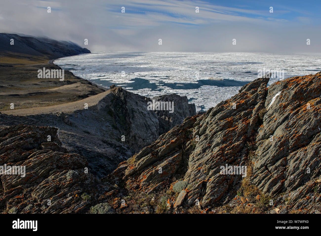 Packeis und Küstenlinie von Wrangel Insel, fernöstlichen Russland, August 2012. Stockfoto