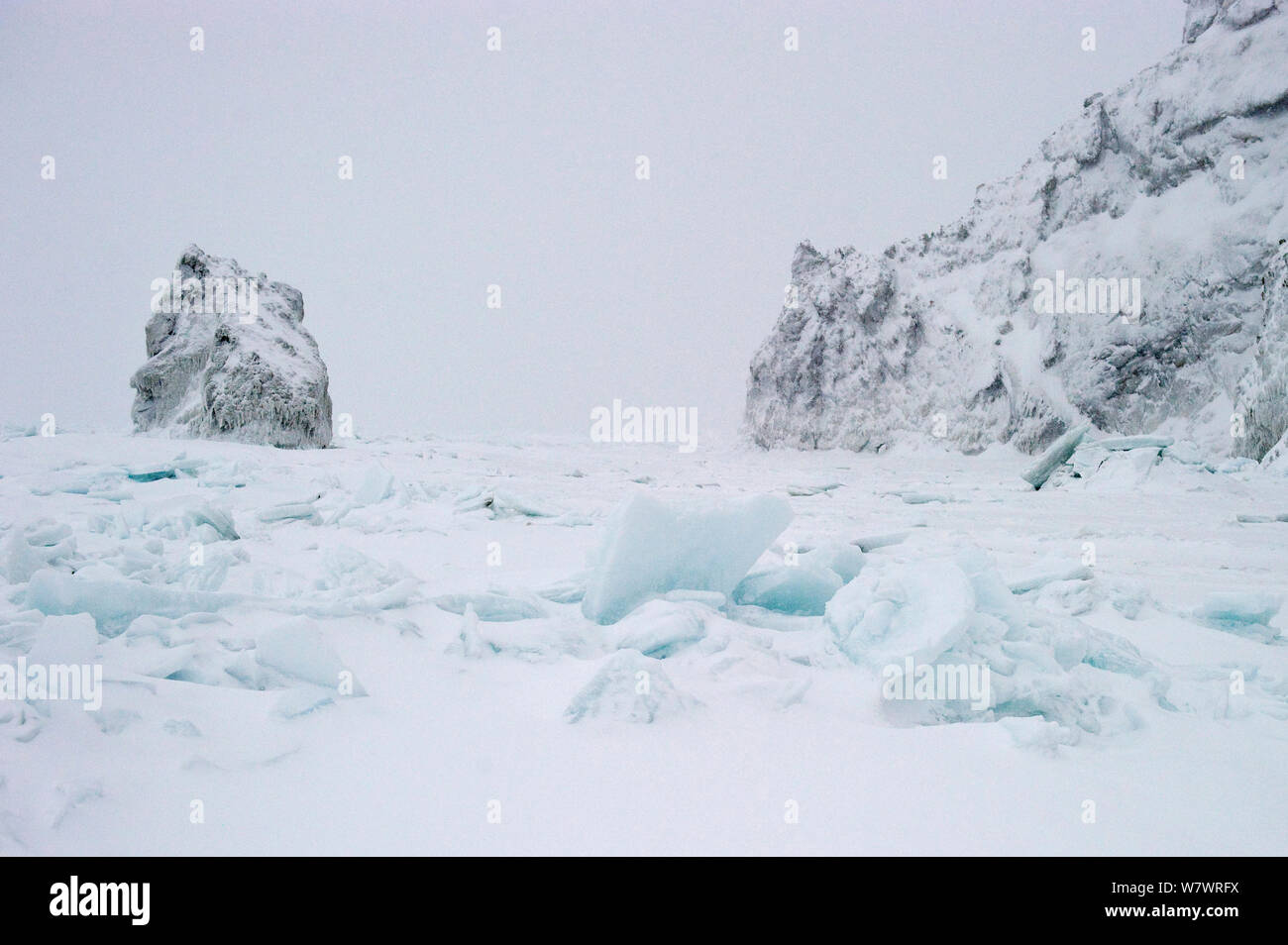 Packeis Anfang bis an der Küste von Wrangel Insel, fernöstlichen Russland, im März 2011 zu brechen. Stockfoto