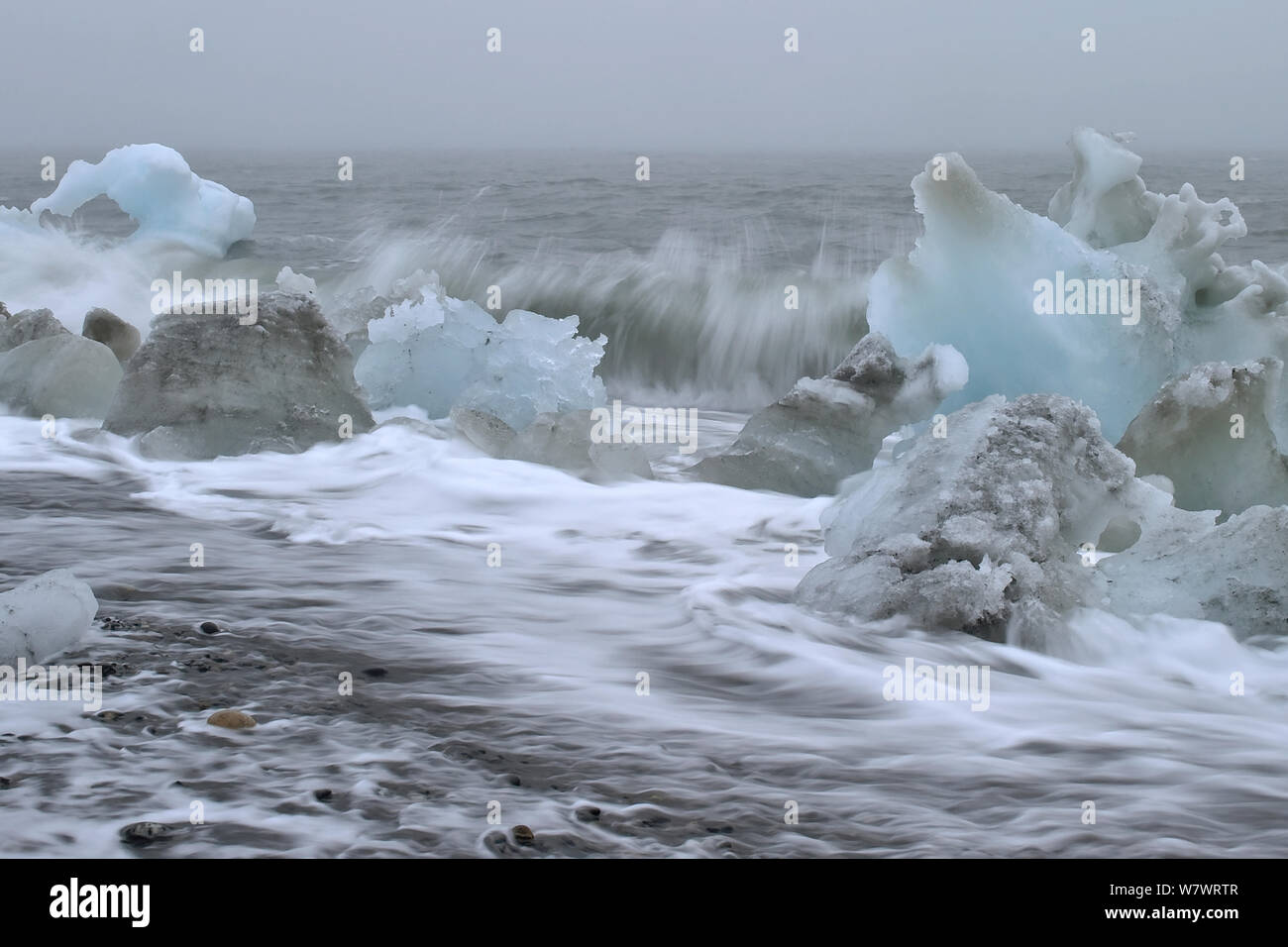 Wellen Spritzen gegen eisige Ufer, Wrangel Insel, fernöstlichen Russland. September 2010. Stockfoto