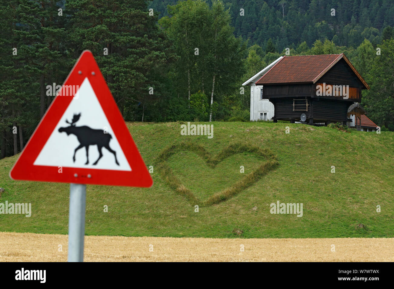 Herz Form im Gras in der Nähe der Farm, mit Rentier Kreuzung Zeichen, Telemark, Norwegen, August 2012. Stockfoto