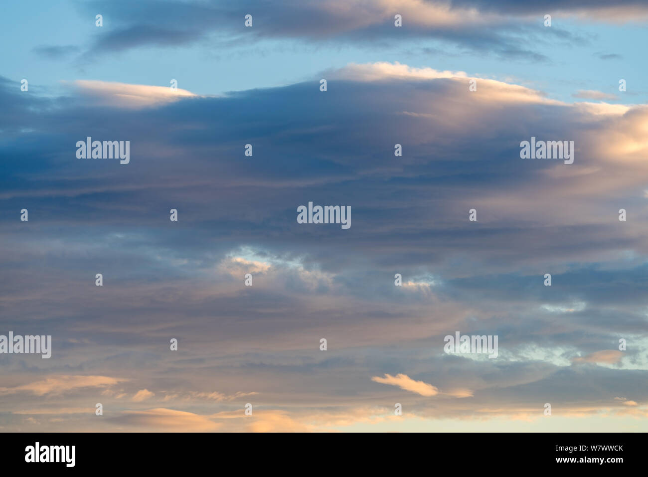 Stratocumulus stratiformis Wolken am Abend dämmerung Stockfoto