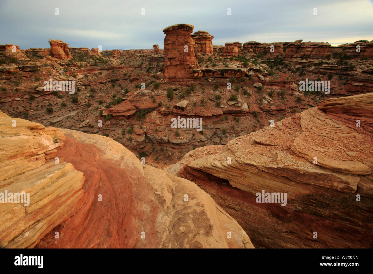 Sandstein Felsformationen, Big Spring Canyon, Canyonlands National Park, Utah, Colorado Plateau, April 2010. Stockfoto