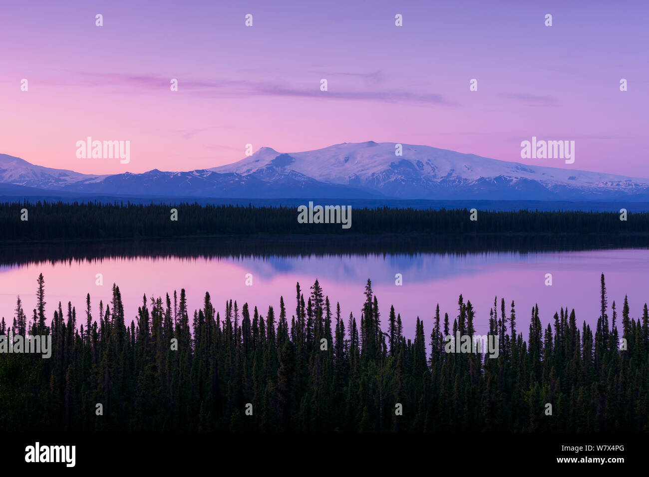 Wrangell - St. Elias National Park, wenige aus Willow See bei Sonnenuntergang mit Reflexion der Mount Wrangell (4.317 m), Alaska, USA. Juni 2013. Stockfoto