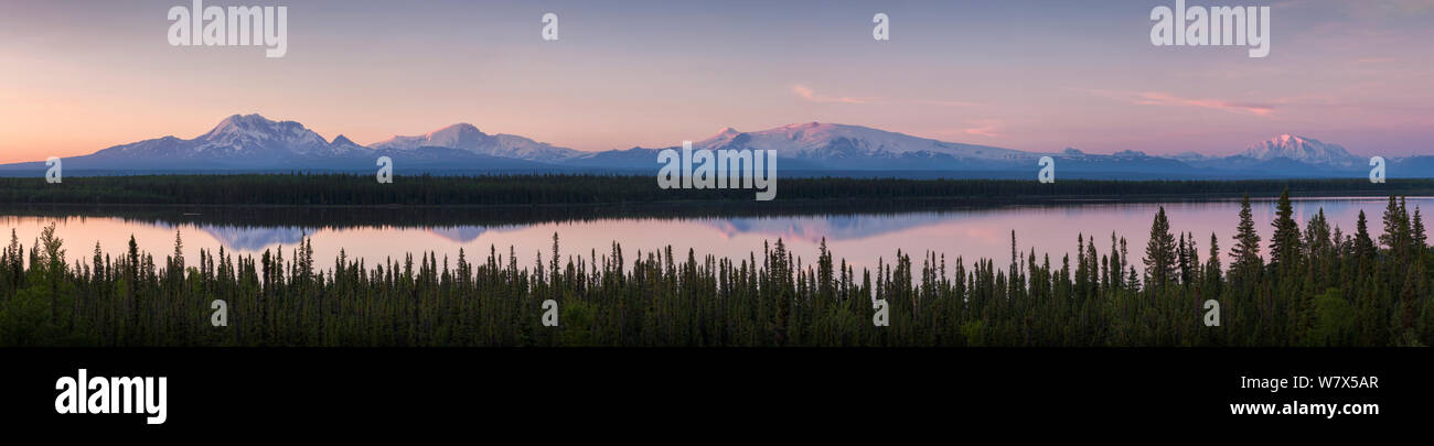 Panoramablick auf die Landschaft von Wrangell - St. Elias National Park bei Sonnenuntergang, wenige aus Willow Lake mit Reflexion der Gebirge (von links); Mount Drum (3.661 m), Mount Sanford (4.949 m), Mount Wrangell (4.317 m) und Mount Blackburn (1.825 m), Alaska, USA. Juni 2013. Stockfoto