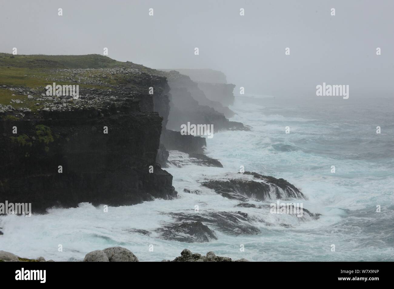 Sturm zerschlagen mit Blick nach Norden vulkanischen Klippen auf Enderby Insel. Insel Gruppe in Auckland, Neuseeland, Februar 2014. Stockfoto
