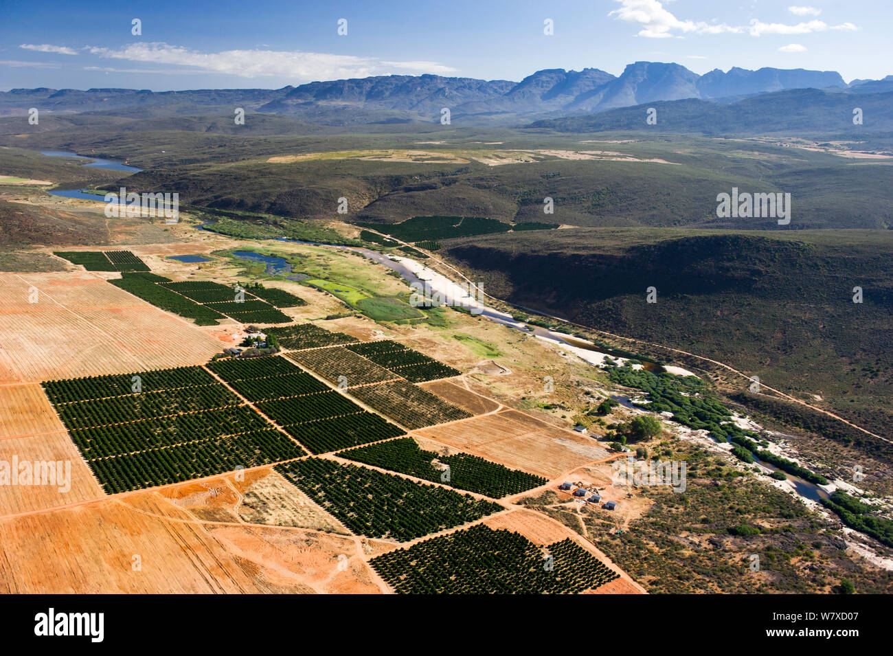 Luftaufnahme des Olifants River und der intensiven Landwirtschaft entlang, eine Bedrohung für die endemischen Fischarten finden Sie hier. Citrusdal und Clanwilliam, Western Cape, Südafrika. Dezember 2013. Stockfoto