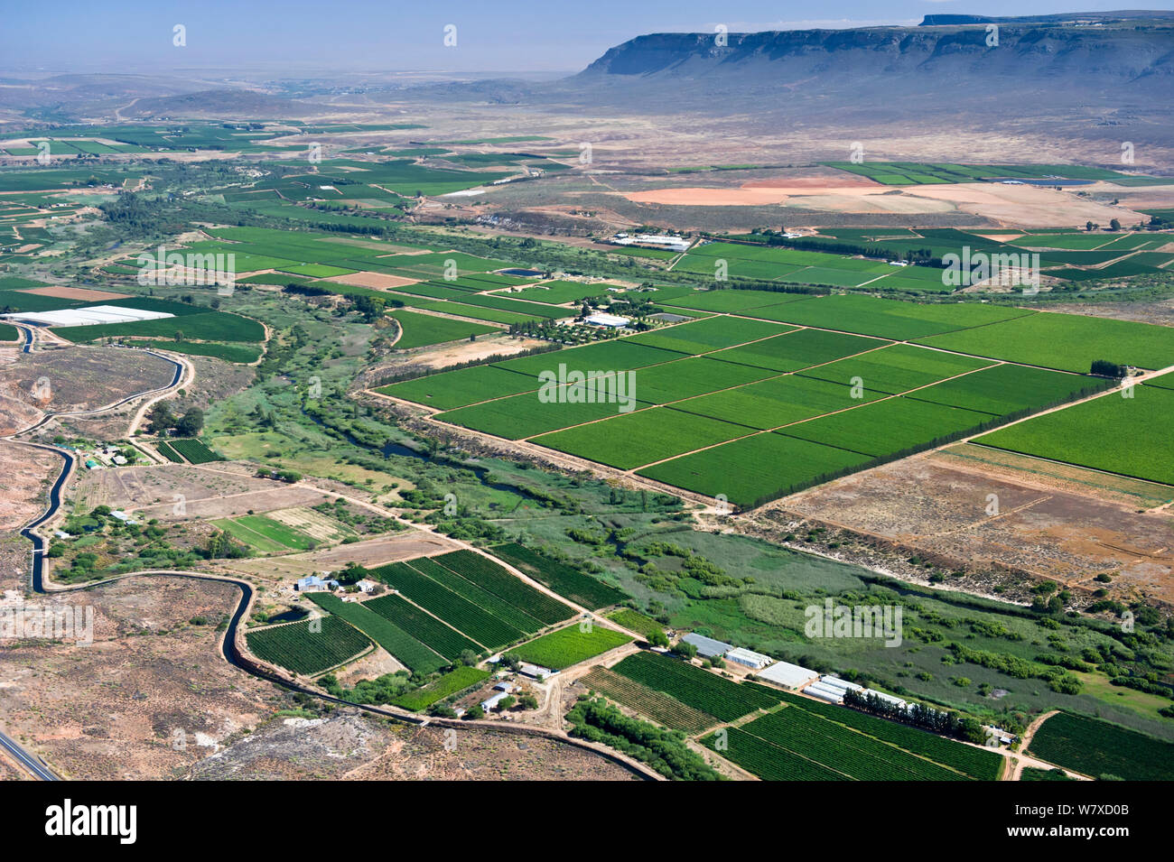 Luftaufnahme des Olifants River und der intensiven Landwirtschaft entlang, eine Bedrohung für die endemischen Fischarten finden Sie hier. Citrusdal und Clanwilliam, Western Cape, Südafrika. Dezember 2013. Stockfoto