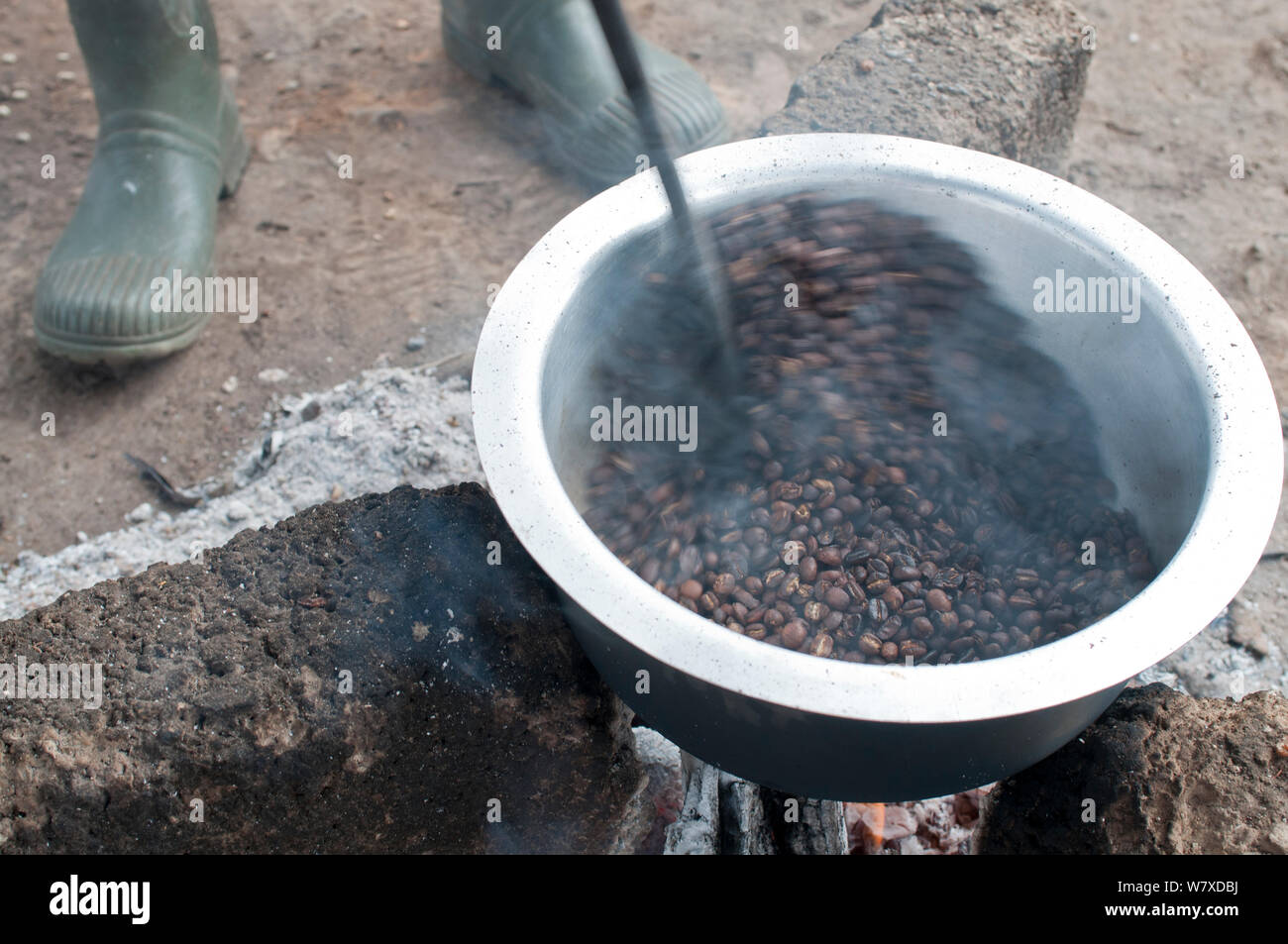 Kaffee (Coffea arabica) Bohnen Rösten über einem Feuer, Tansania, Ostafrika. Stockfoto